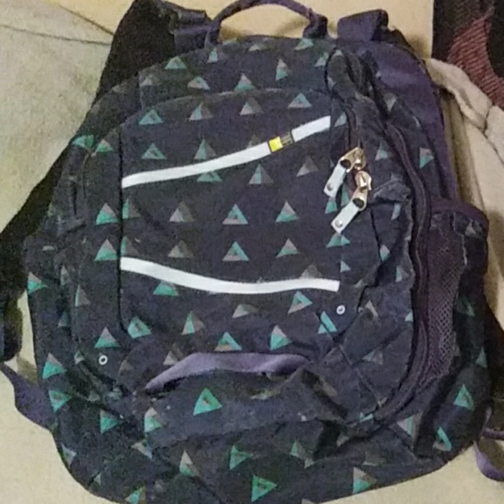 Blue Case Logic Backpack